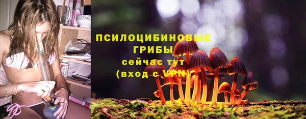 гашик Навашино