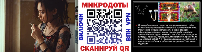 закладка Химки Псилоцибиновые грибы Magic Shrooms