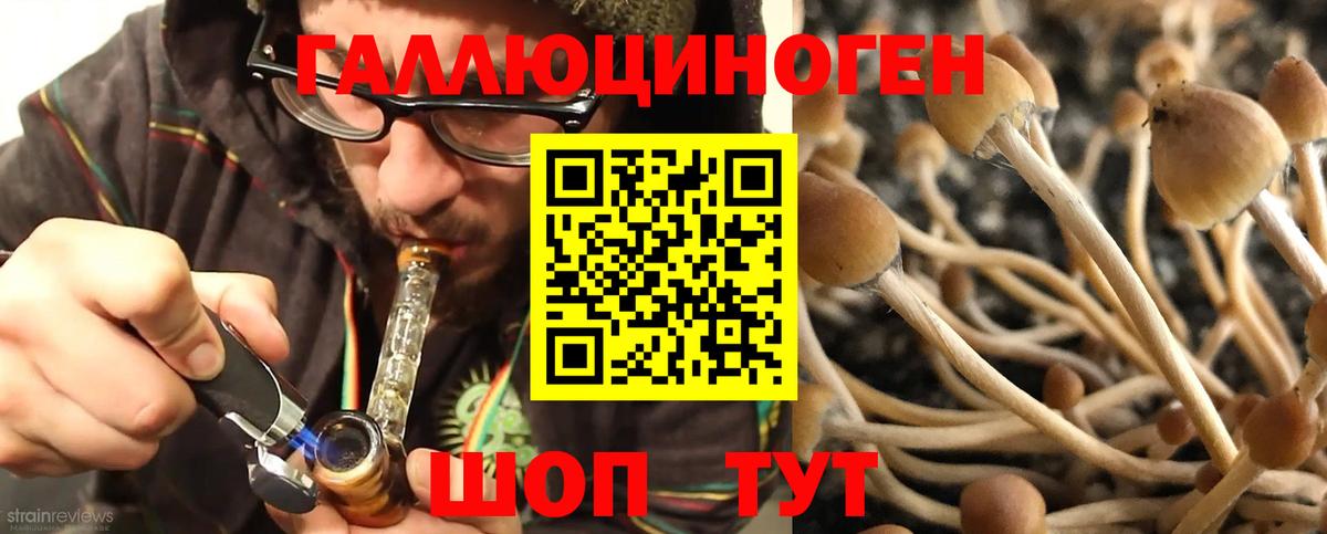 Псилоцибиновые грибы мухоморы  Псилоцибиновые грибы Psilocybe  Химки  Вход с VPN 